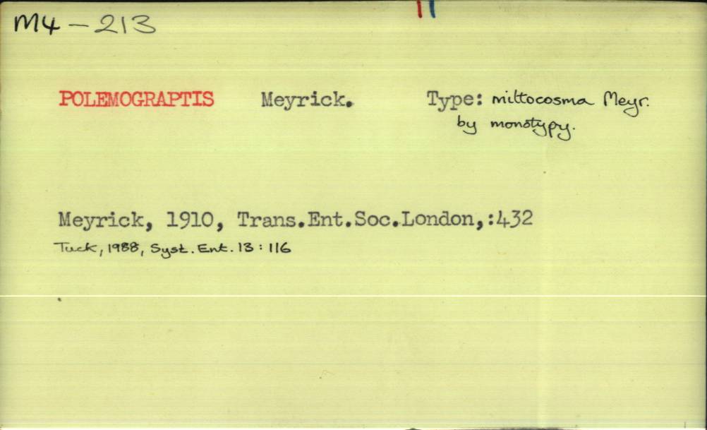 front of card